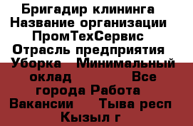 Бригадир клининга › Название организации ­ ПромТехСервис › Отрасль предприятия ­ Уборка › Минимальный оклад ­ 30 000 - Все города Работа » Вакансии   . Тыва респ.,Кызыл г.